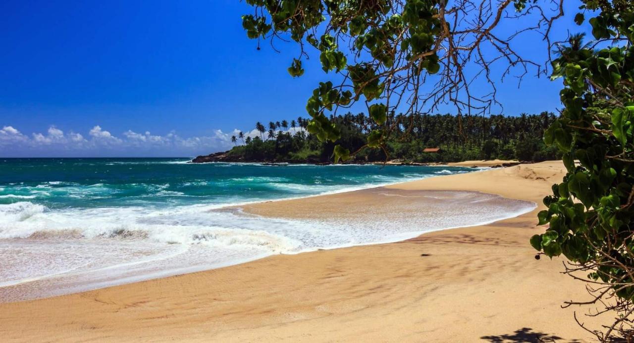 Ocean Dream Hotel Tangalle Exterior photo